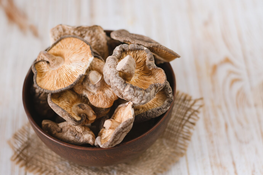 Mushroom Recipes to Elevate Your Kitchen